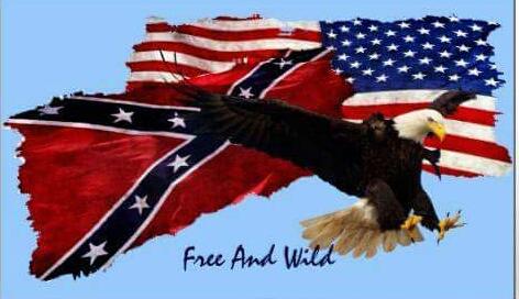 cherryfultz's tweet image. Southern pride!!