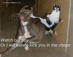 hotalling's tweet image. 