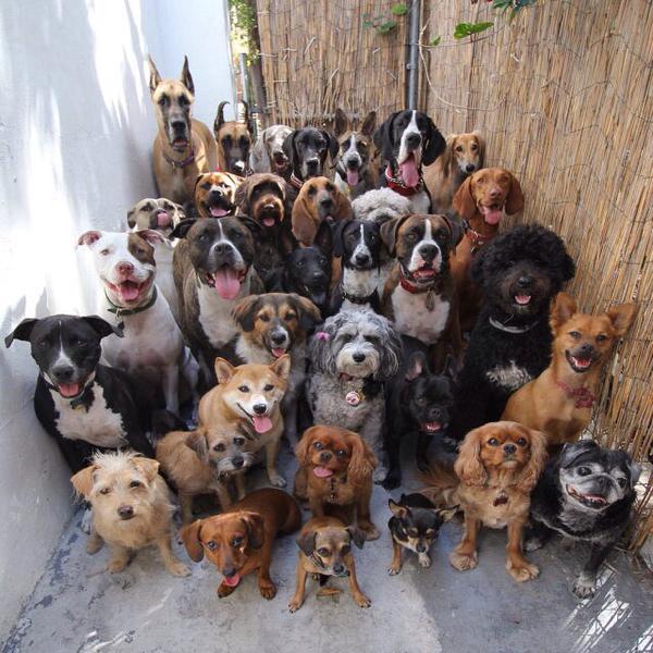 life goals