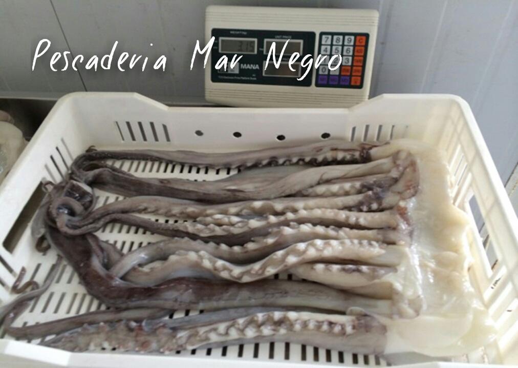 PescaderiaN's tweet image. Giant squid Pota Tentacles (Dosidicus gigas), washed, without eyes and beak, rings off, sexual tentacles off