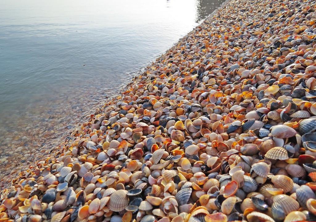 sof4ick's tweet image. 