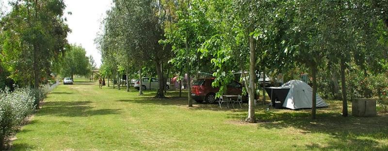 campingstarraco's tweet photo. Camping Ampolla http://t.co/AizWbEJgIp amplias parcelas con sombra. En la puerta del Parque Natural Delta del Ebro. http://t.co/cvq4AezMwI