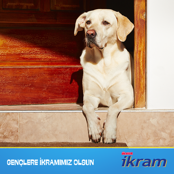 ulkerikram's tweet photo. İnternet paketi bitince... http://t.co/LIvyVKcfdf