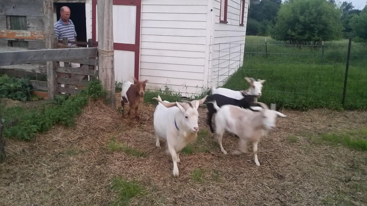 Gimlet28's tweet photo. @BriellePaigeXo  I was at a party and thought of you. These guys  were having trouble with the fireworks. http://t.co/DI40RSw9YX