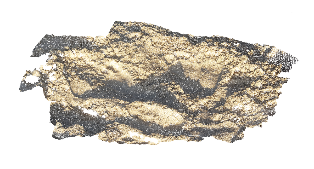 ErissUK's tweet photo. Nothing says happy Friday better than a point cloud of some feet in the sand! #laserscanning #photogrammetry http://t.co/fv7rK9F96q
