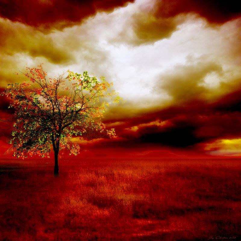 estella_one's tweet photo. JacqChristiaan - Artist from the Netherlands (Digital Art 'Red Land") #Beautiful http://t.co/nMLtRO7OEl