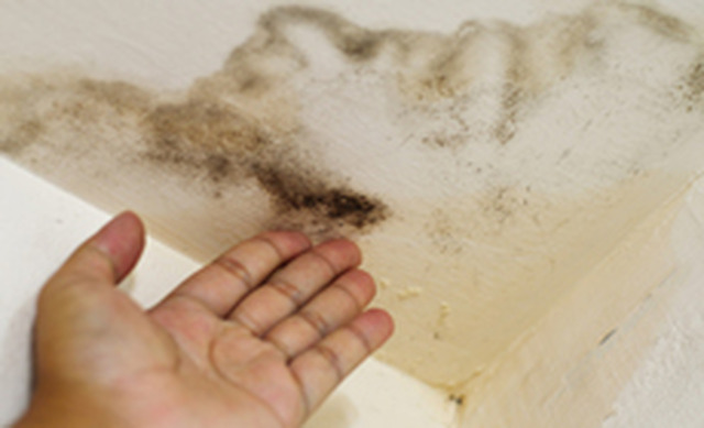 Danlor Utilities Ltd (@lunnymark) on Twitter photo 