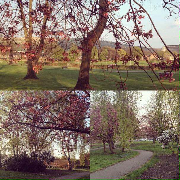 RavensFortitude's tweet image. This is my "I'ma try to convince @TheRealShantel to come to Sheffield, England" post; come and see me! #UsingMyVoice