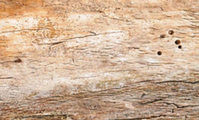 Danlor Utilities Ltd (@lunnymark) on Twitter photo 