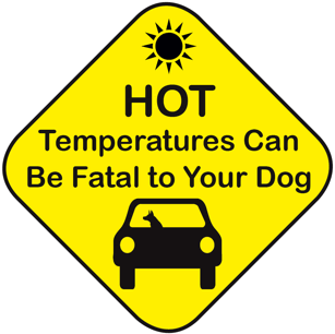 MyPetDirectory's tweet photo. Please be very careful with your dog in this heat #HeatwavePets http://t.co/g6AwaDYG4B