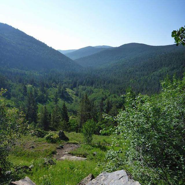 Photo from runs4wine76 #lostlake #hessietrailhead #colorado #coloradohiker #coloradohiking… bit.ly/1LZSKKN