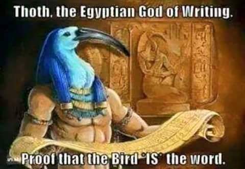 TLDaGreat1's tweet image. @CyhiThePrynce You Know Why I Am Here!!! The Monkey Ain&apos;t No Joke! Let&apos;s T.A.L.K: #Teach #All #Learnable #Knowledge