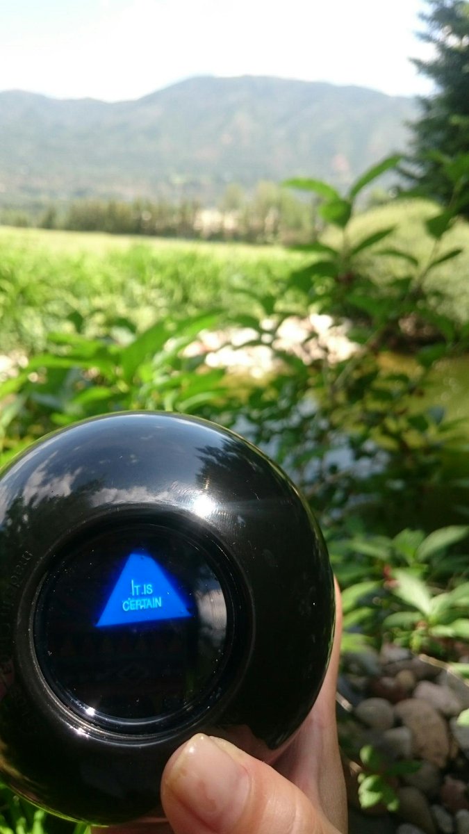 ASGRecruiting's tweet image. #Magic8Ball Is this going to be the best #4thOfJuly weekend ever? #ItIsCertain #A$pen