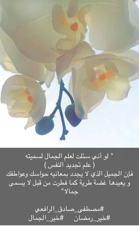 maham_otb's tweet photo. @MostafaALRafii http://t.co/AQxuXW4rZl