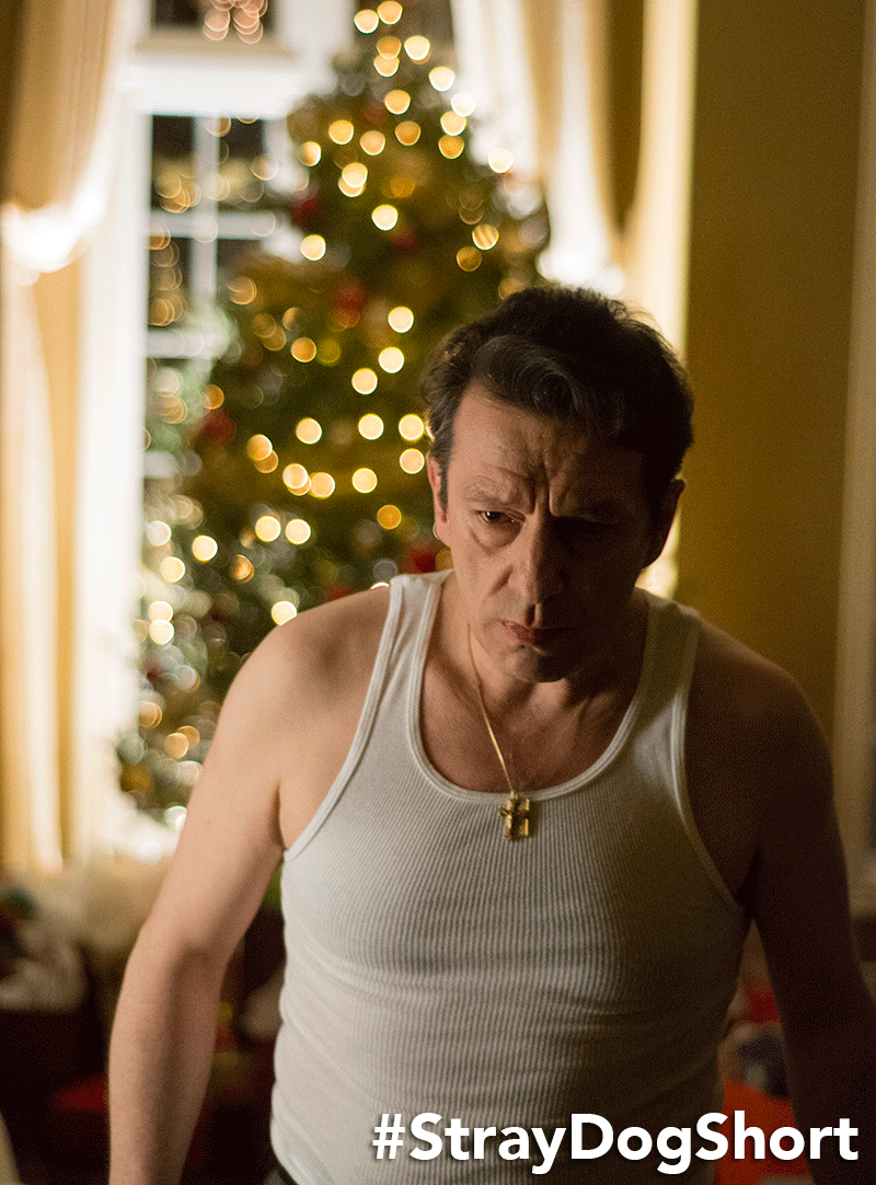 cfccreates's tweet photo. #ShortsWeek ends with 2015 #CFCSDF #StrayDogShort! Read about the film and view the trailer: http://t.co/GEHCBNzs6p http://t.co/sn6TDGWOjR