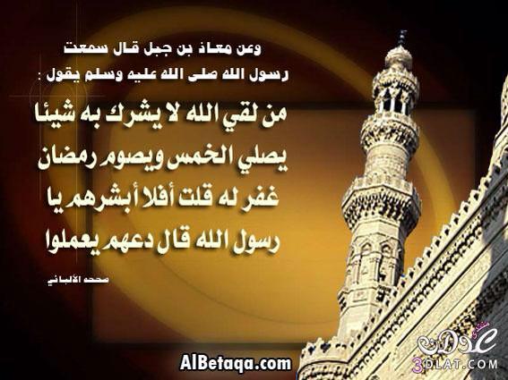 عن معاذ بن جبل قال سمعت رسول الله صلى الله عليه وسلم. يقــول