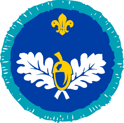 4. a beautiful representation of Norfolk, I award <a href="/GoGoDrewscilla/">GoGoDrewsCilla</a> the naturalist badge members.scouts.org.uk/supportresourc… #ggd15