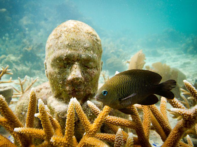 usatodaytravel's tweet image. These amazing underwater sculptures will make you want to try scuba diving usat.ly/1IqUZbd
