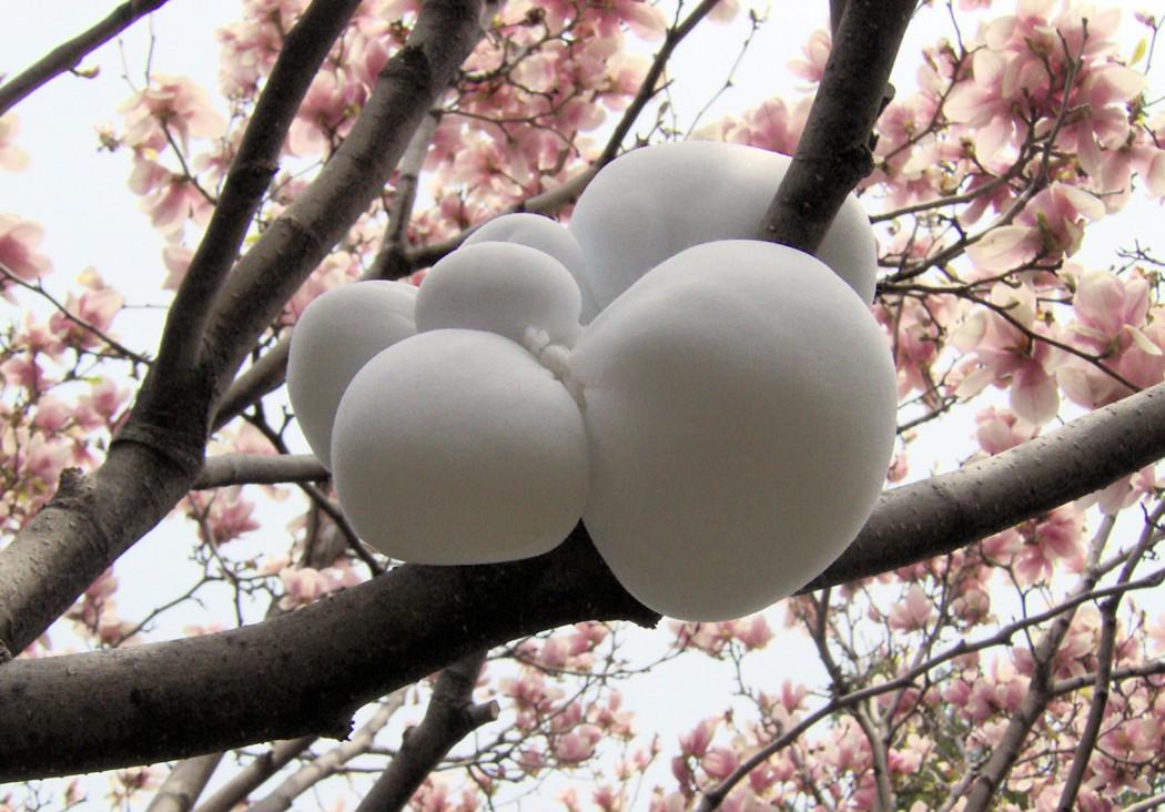 GaleriesMtl's tweet image. Portfolio de la semaine - Caroline Ariane Bergeron / @CU_FineArts galeriesmontreal.ca/caroline-arian… @DeSerres