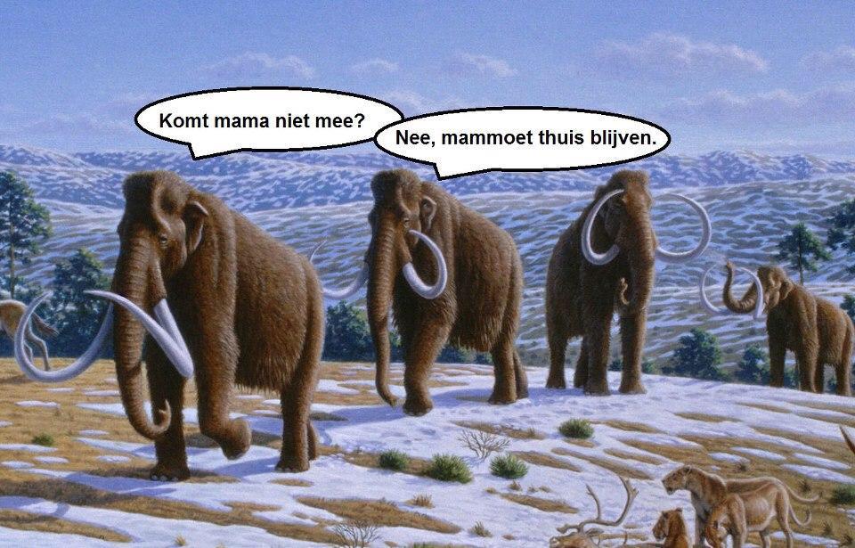 Woordhumor (@woordhumor) on Twitter photo 