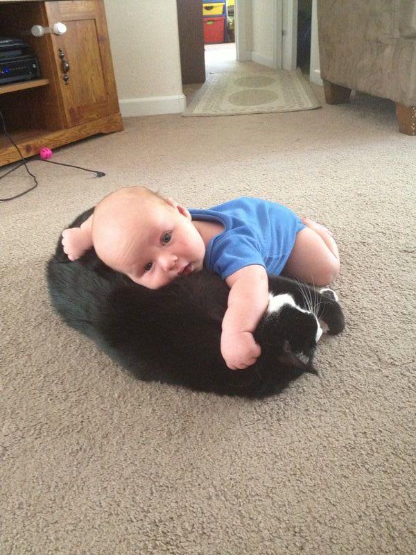 Time for a cat nap. Happy #CatPhotoFriday