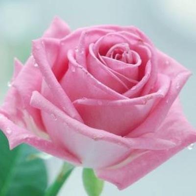 @gvgetk <a href="/looksad88/">riel</a> @sss2AA5 <a href="/1dfd4e2f21cd451/">عشقي صباح الورده.</a> <a href="/sosomhamd0/">arku</a> <a href="/ahmadsoso914/">سعد الاصيل</a>  يسلمو كلك ذوقك