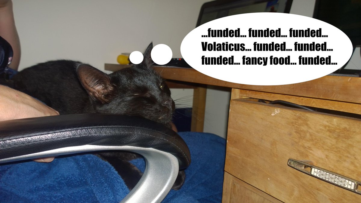 volaticusgame's tweet photo. Joey is dreaming of a successful #indiedev #Kickstarter campaign! Make his dream come true! http://t.co/wXqVZLTOCV http://t.co/bEK7Rikyvb