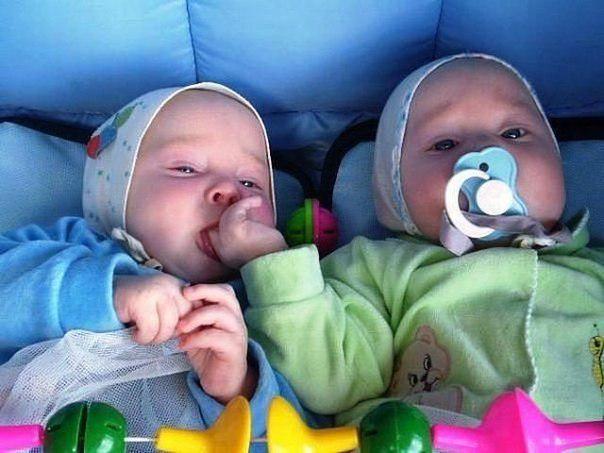 zlata_russia's tweet image. Друг всегда выручит:)