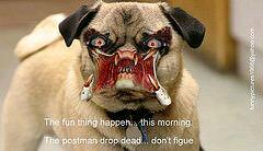 hotalling's tweet image. 