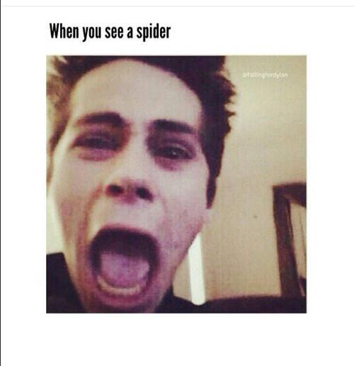 stilesrpgcodr's tweet image. VENEZ RP