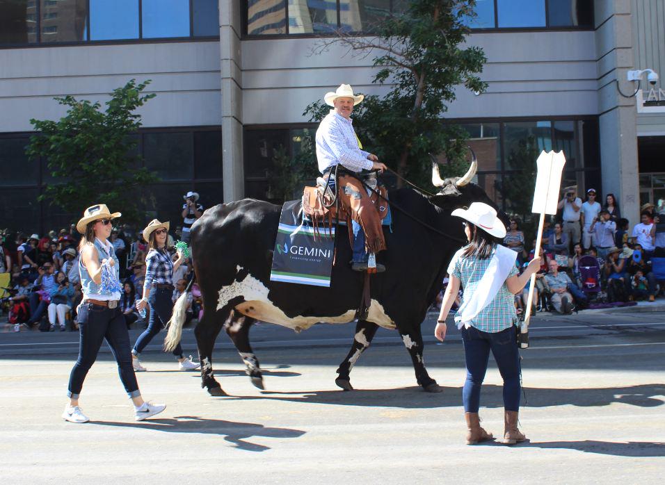 Once again, Doug Rogers and Willie the bull did a great job representing Gemini in the #CSParade #Stampede2015