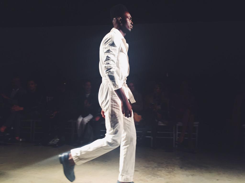 Plain Tiger tweet media