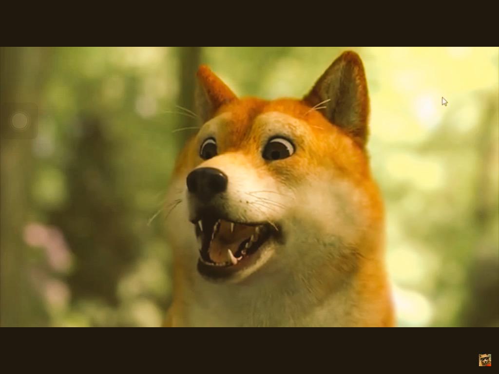 Celeste_SPPM's tweet image. Dog *porker face*