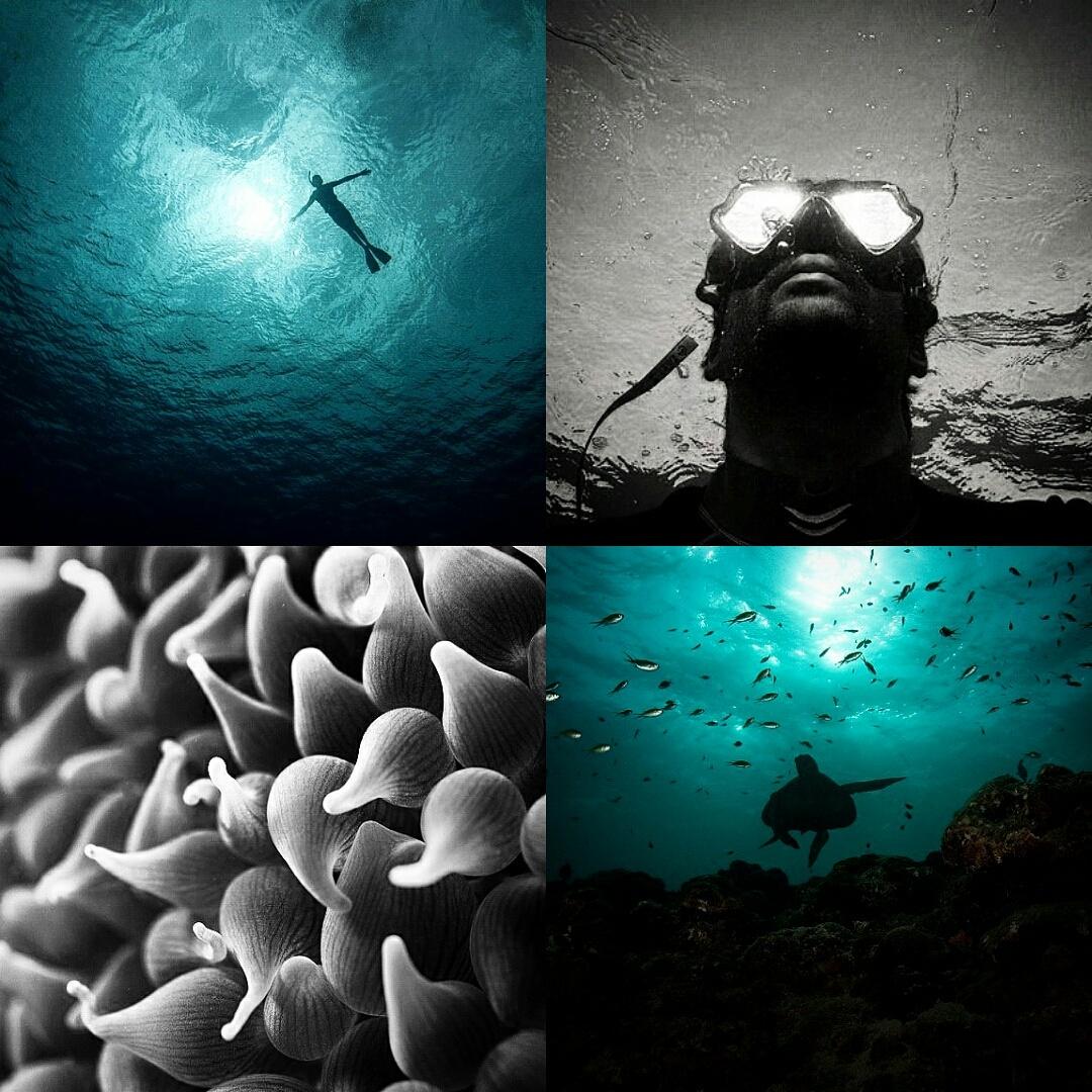 sumerverma's tweet photo. Its all happening @luminousdeep on instagram guys , If you love The ocean go check it out . Thanks. http://t.co/eO5WoZFLGE