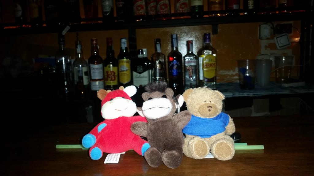 pauli879's tweet photo. Aqui tenemos tres amiguitos con ganas de ser adoptados 😃 #LoViernesDeLaBoca http://t.co/LCPdId3G1v