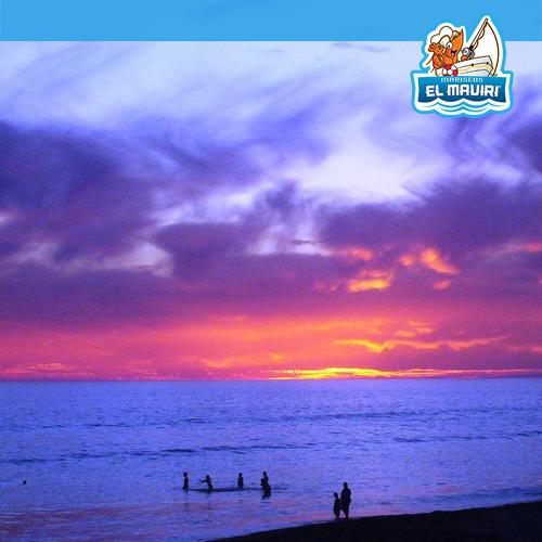 Mariscos El Maviri tweet media