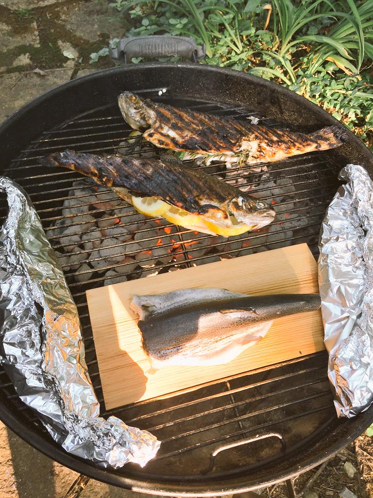 edmartini3's tweet image. Phish may be ruining the #dead50 shows, but it's a critical part of our new #hearthealthy lifestyle. #trout3ways