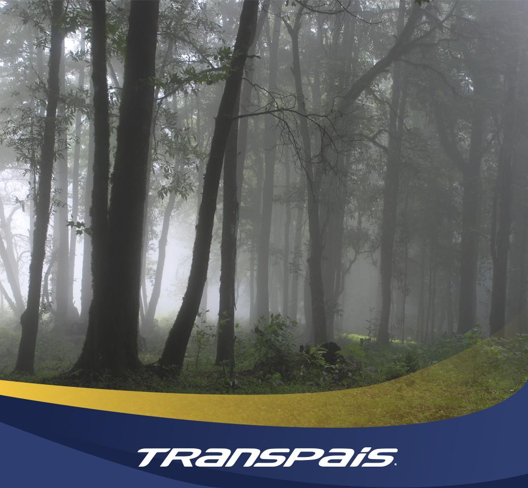 Transpais tweet picture