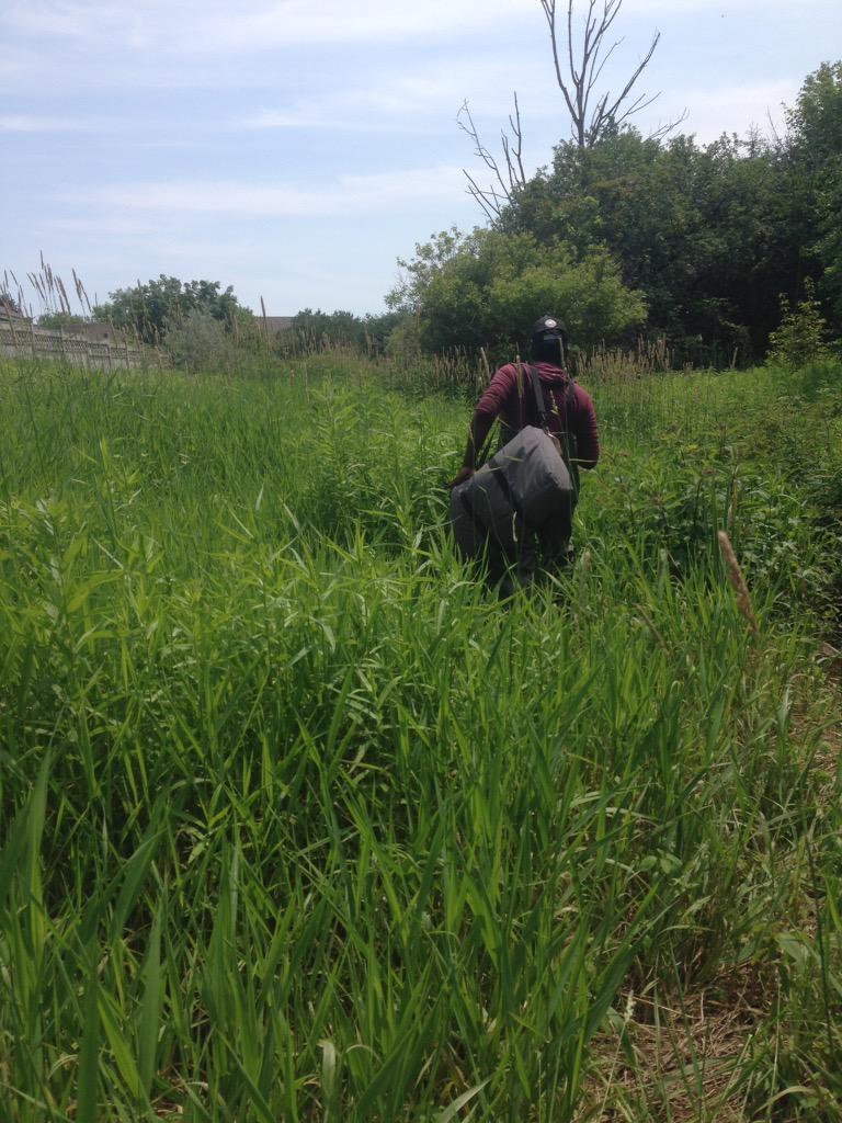 Rowshyra's tweet photo. In pursuit of Redside Dace #detection #underwater #endangeredspecies #ontariostreams #gonesampling #cloca http://t.co/ZiKPQJ3ggu
