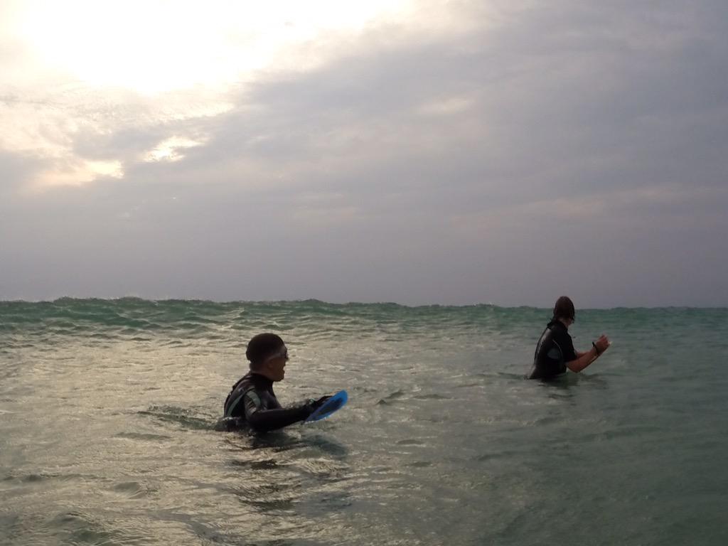 Lizzi_L's tweet photo. Day 13 #100DaysofBlue North Coast Swim #BlueMind :-) with @CaronFraserWood @CurranWeston http://t.co/yQLcb9NPFi