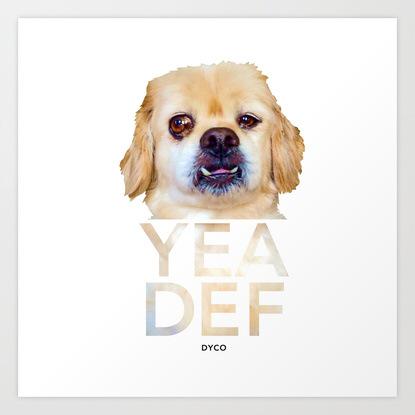 DestroyYouCo tweet picture