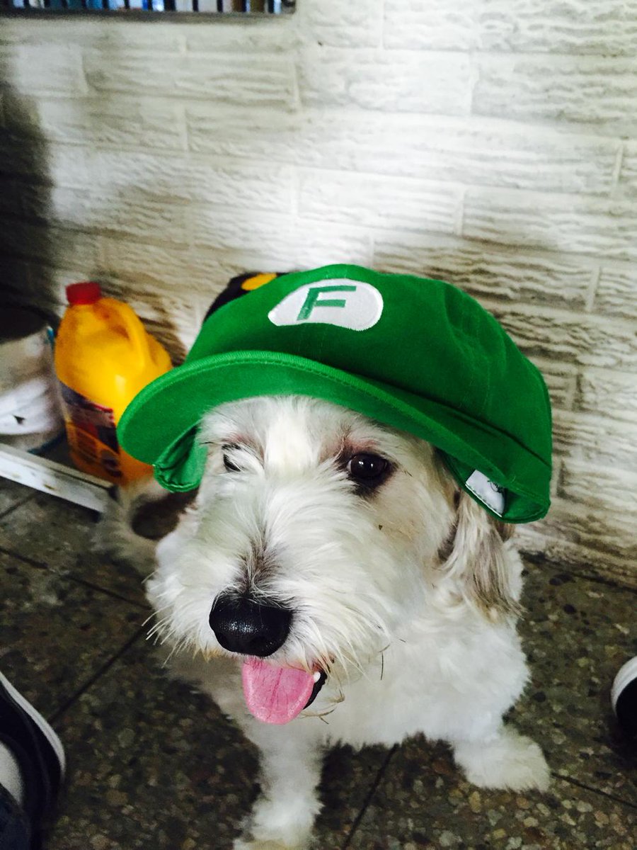 Curly ya tiene su propia gorra de "FRRNANFLOO" xD