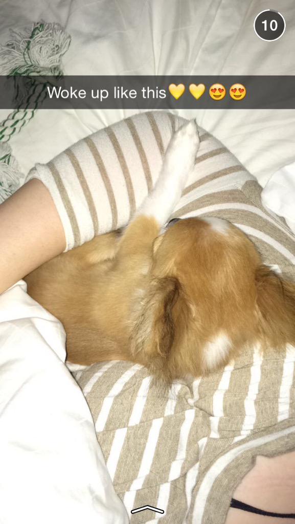 nics_hall's tweet photo. Woke up like this 💛 http://t.co/ntlcynnJpt