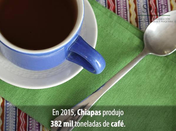 #Chiapas es el principal productor de #café en #México.