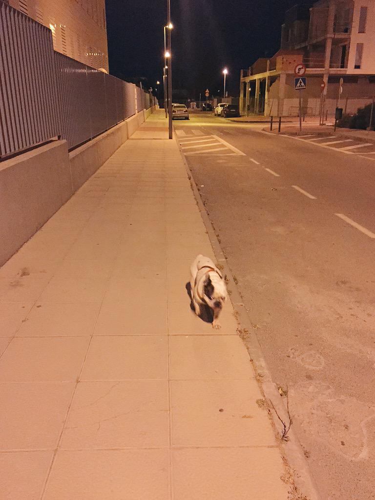 valverde_isabl's tweet photo. De paseo con mi pequeñajo #tomandoelfresco #nochesdeverano http://t.co/IcvZDXAalB