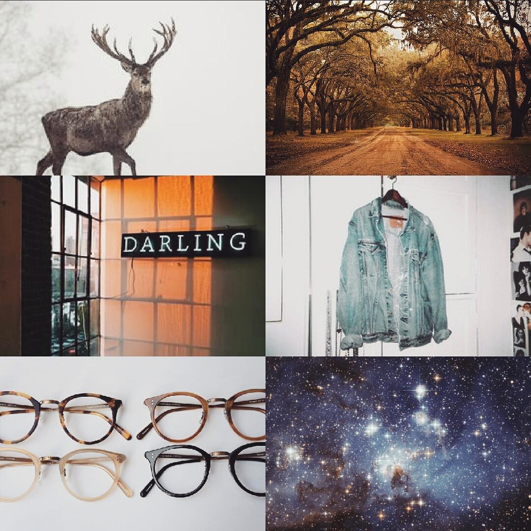leonard mccoy aesthetic 🌻