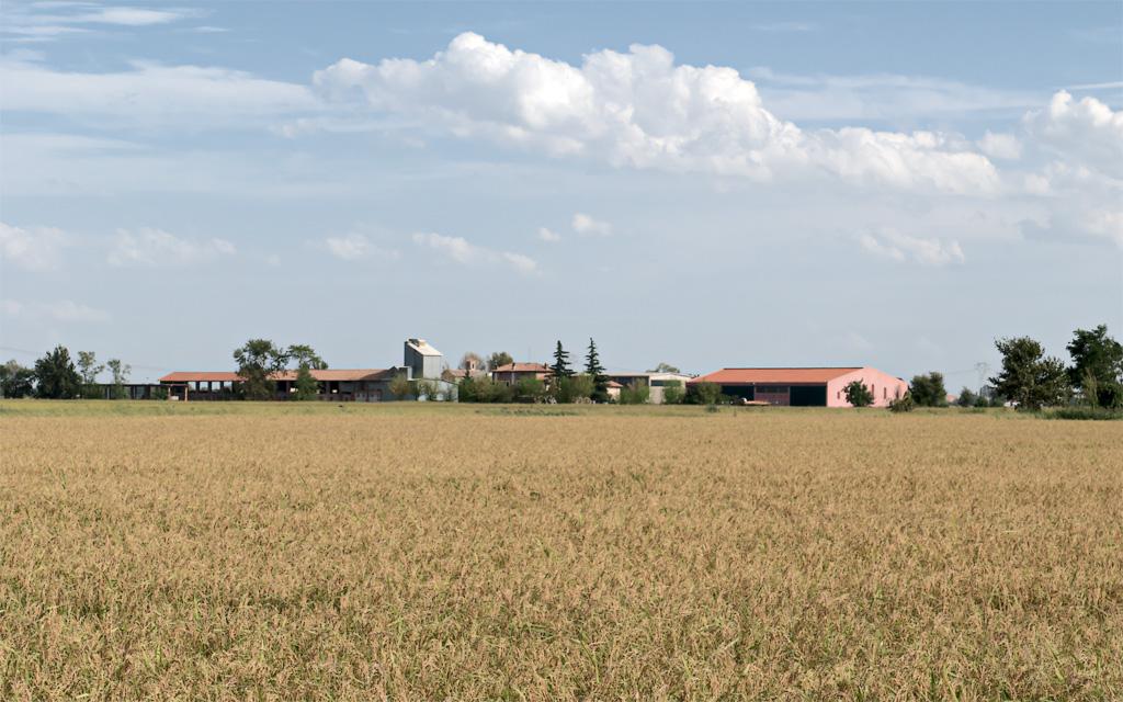 onlandscape's tweet photo. #SouthMilan #landscape #geography #GeoHumanities #Milan #italy #Expo2015 #Anthropocene http://t.co/NJ6a3sHxUp