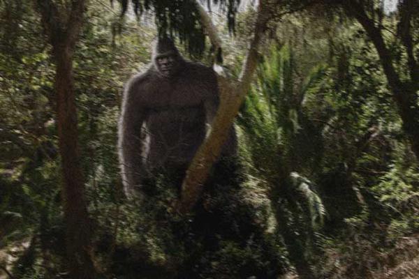 MichelleFilas's tweet image. Slammed By The Sasquatch
amazon.com/Slammed-The-Sa…