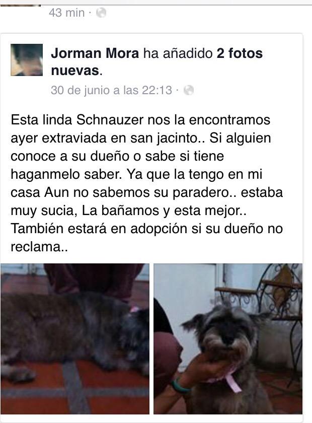 marpipeas's tweet photo. @KoriGonzalezDif @DUINCONSUELOC   @Venezuelienne09 @Tango_BME Que saben de este caso? Apareció el dueño? http://t.co/chHEAEYqbW