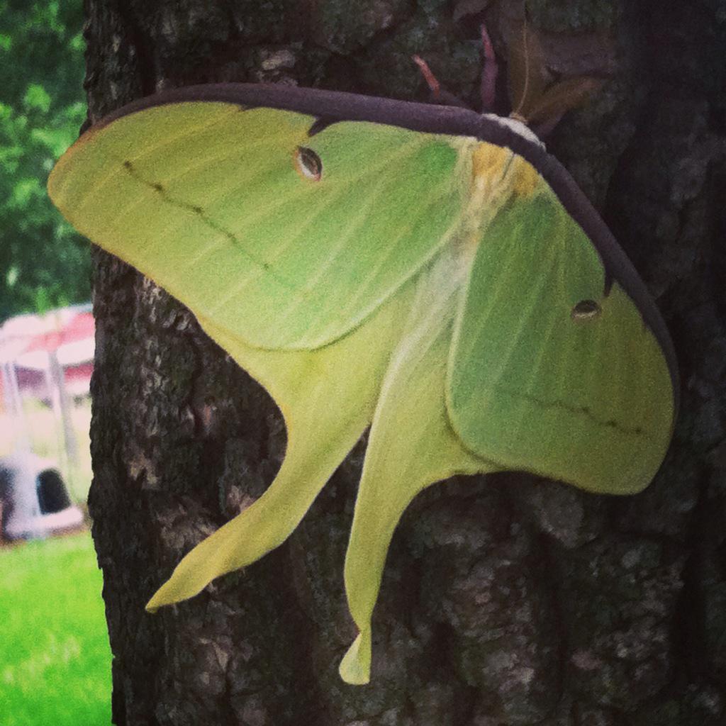 Karis Always (@karisanonymiss) on Twitter photo 